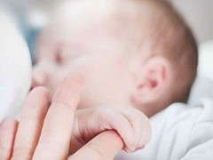 专业提供月子护理 金牌月嫂 催乳师服务 专业提供月子护理 金牌月嫂 催乳师服务