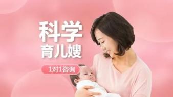 高端家政保姆 别墅保姆 住家保姆 不住家保姆 家庭管家 高端家政保姆 别墅保姆 住家保姆 不住家保姆 家庭管家